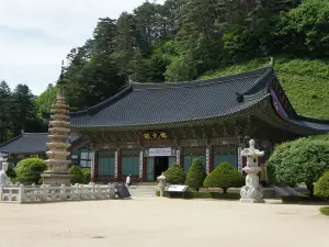 Woljeongsa Temple & Fir Tree Forest