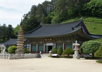 Woljeongsa Temple & Fir Tree Forest