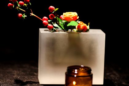 Gastro Esthetics at DaDong