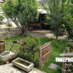 Surf Shack張用戶圖片