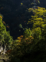 Dachuanhe Forest Farm, Lushan County