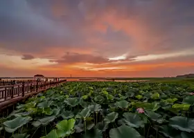 珍珠湖濕地自然保護區