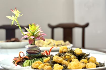 上林竹园·茶园人家