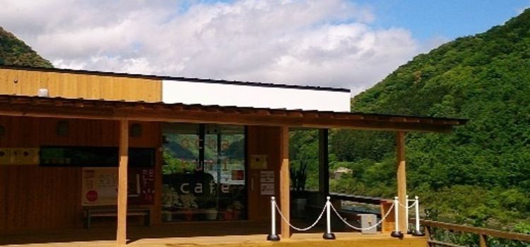 shimanto ochakuri café