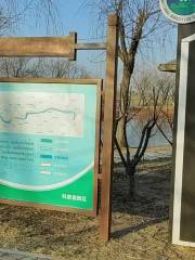 Yucheng Wetland Park