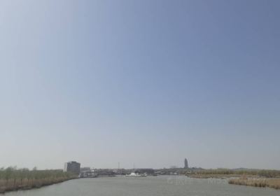 江蘇微山湖湖濱濕地公園