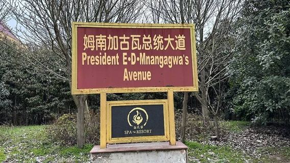 Gold Peacock Love Forest Scenic Area