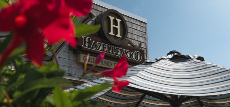 Hazelwood Food and Drink- Tonka Bay