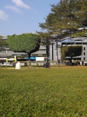 Digisat Surveillance Home (City square Kampala)