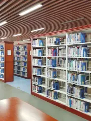 Wanzai Library