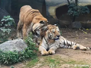 新竹市立動物園