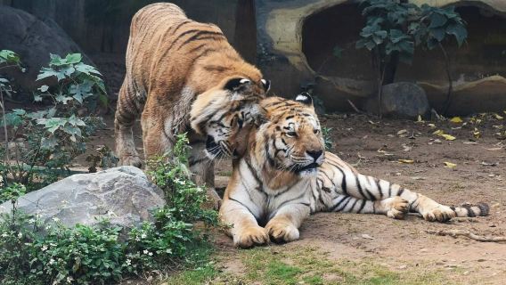 Hsinchu Zoo