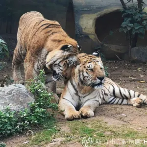 新竹市立動物園