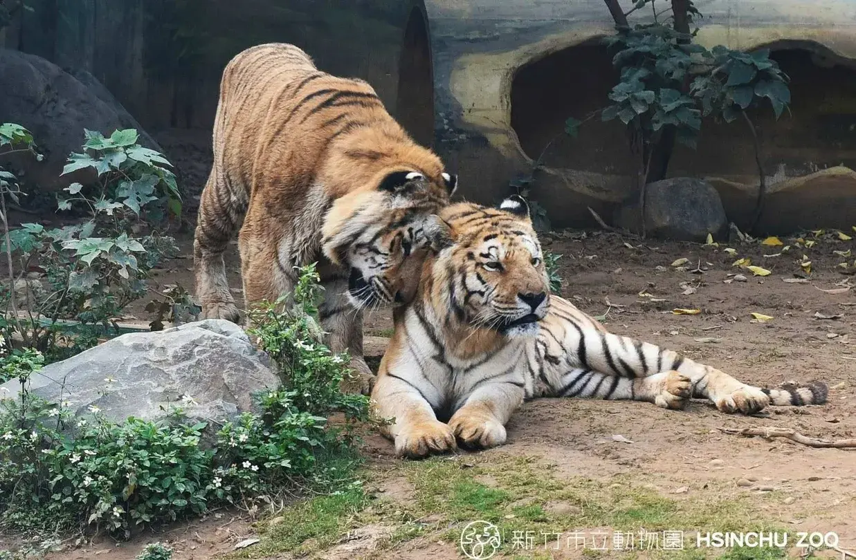 3_新竹市立動物園
