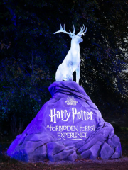 Harry Potter: A Forbidden Forest Experience