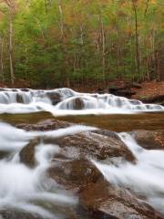 Oconee National Forest