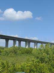 水東灣大橋