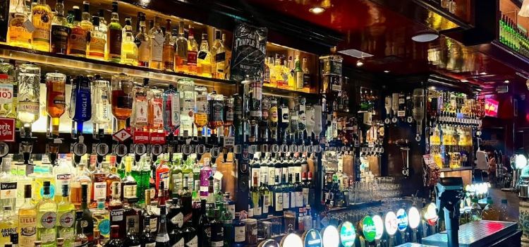 The Temple Bar Pub