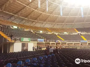 Arena VFG