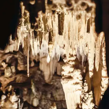 Hôtels à proximité de : Hinagdanan Cave