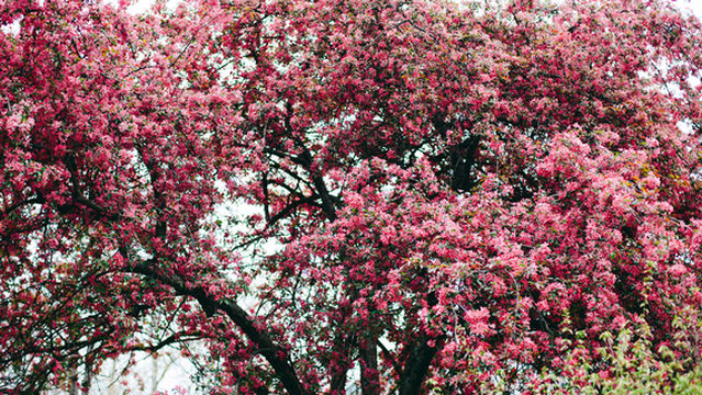 Gold Coast Holiday Resort