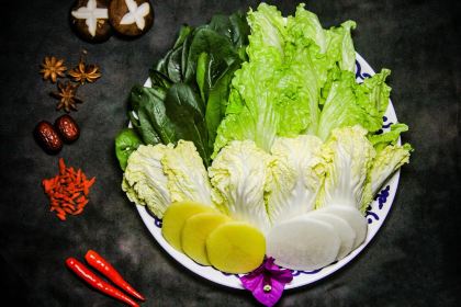 聽澗｜不知周·白蘭地莊園·草坪露營·無邊泳池·奢野溯溪·親子度假民宿（金寨店）·私廚餐廳