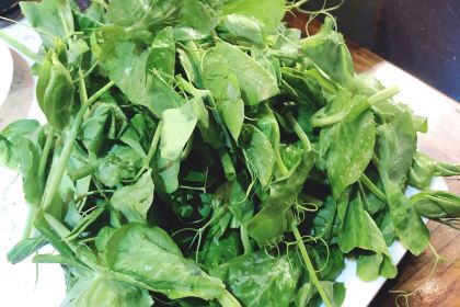 ZA QI ZA BA NIU ZA TANG GUO