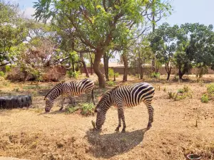 Munda Wanga Environmental Park