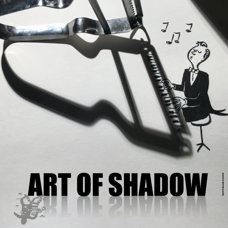 Vincent Bal: ART OF SHADOW | Busan National Science Museum