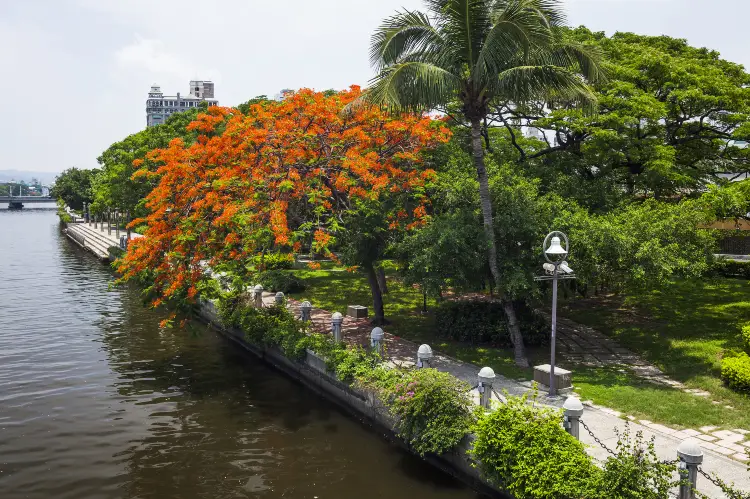 高雄熱門賞花踏青景點