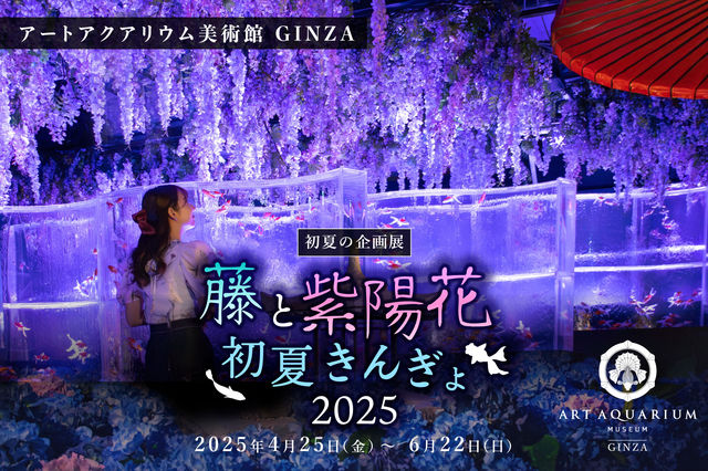 Wisteria and hydrangea Early summer goldfish 2025 | ART AQUARIUM MUSEUM