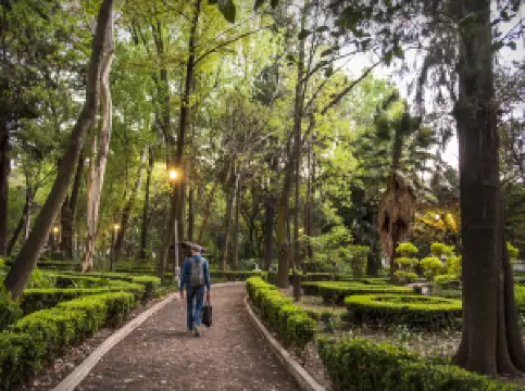 墨西哥公園