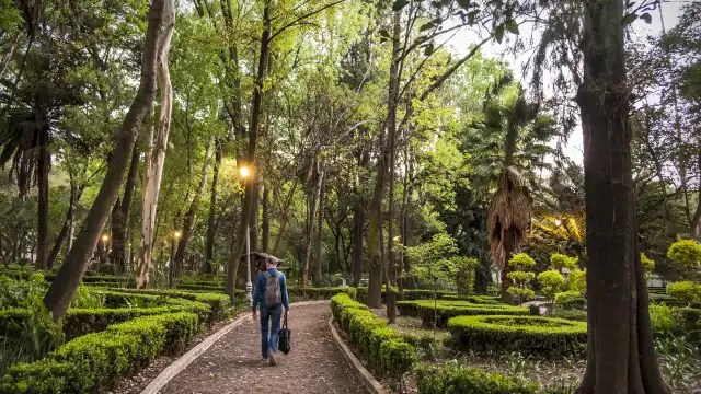 メキシコ公園周辺のホテル