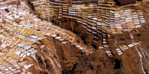 薩利納斯·馬拉斯