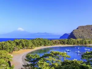 Izu Peninsula