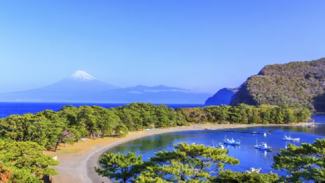 Izu 2026: Top Things to Do & Places to Visit | Trip.com | March 2026