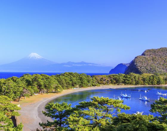 伊豆 自由行套票