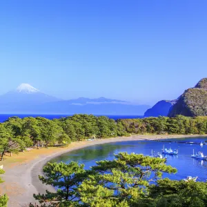 伊豆半島