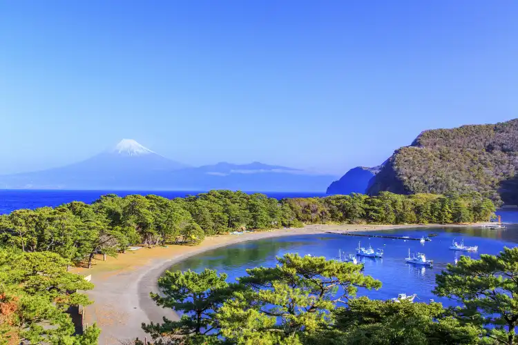 Hotels near Izu Peninsula
