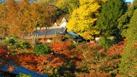 Hasedera attraction in Kamakura
