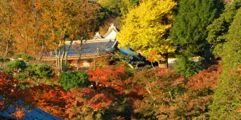 長谷寺