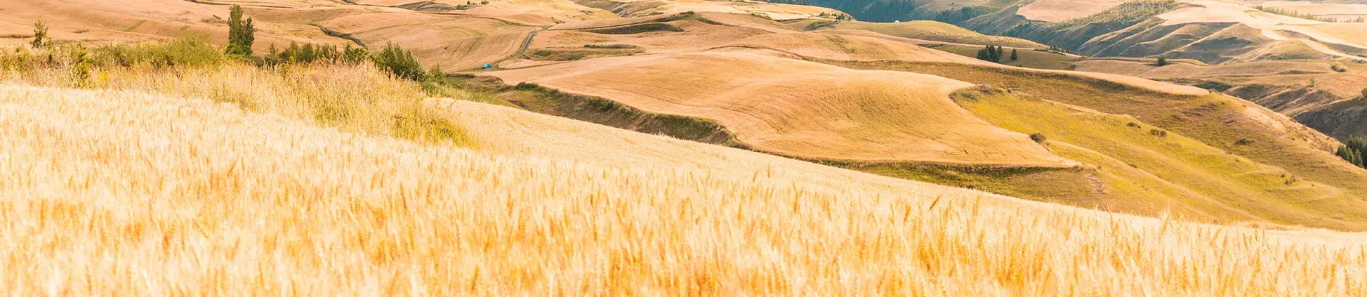 Attrazioni per la visione autunnale