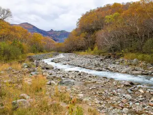 이도백하