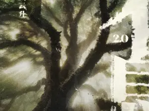 Zhengzhou | 姜云升 Tour