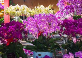 Hotels near Shahe wholesale Market