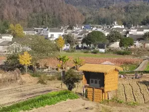 Xidi Ancient Village Scenic Area - Sightseeing Park
