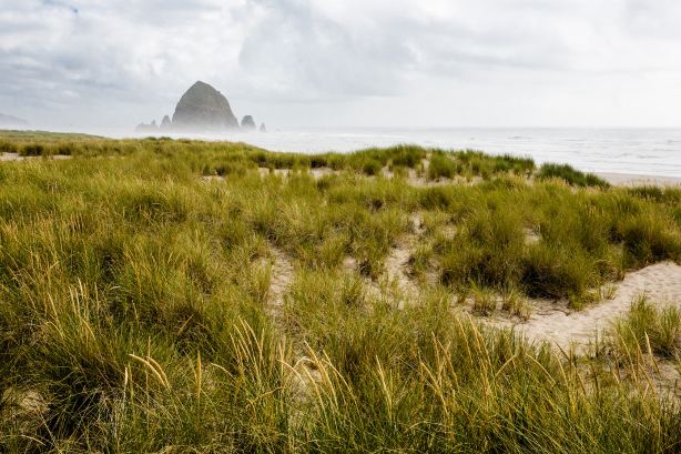 Haystack Rock