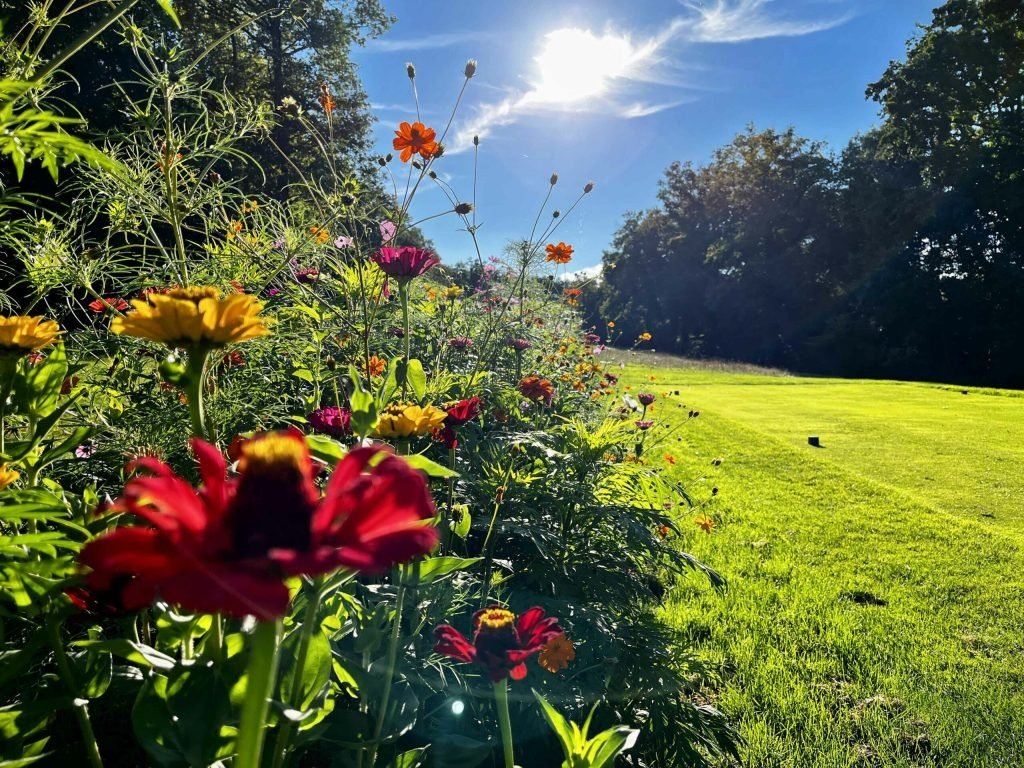 Golf Vichy Forest of Montpensier