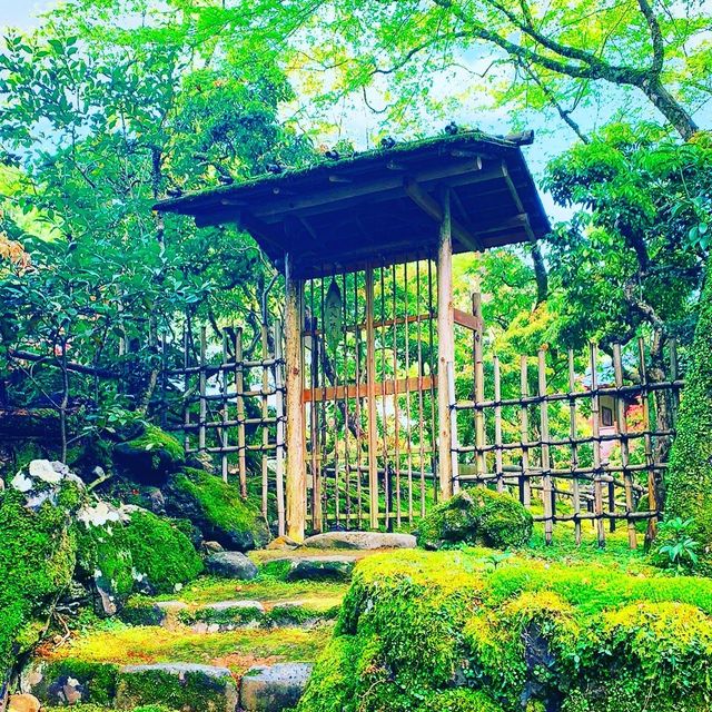 京都　日本最古の茶園　高山寺