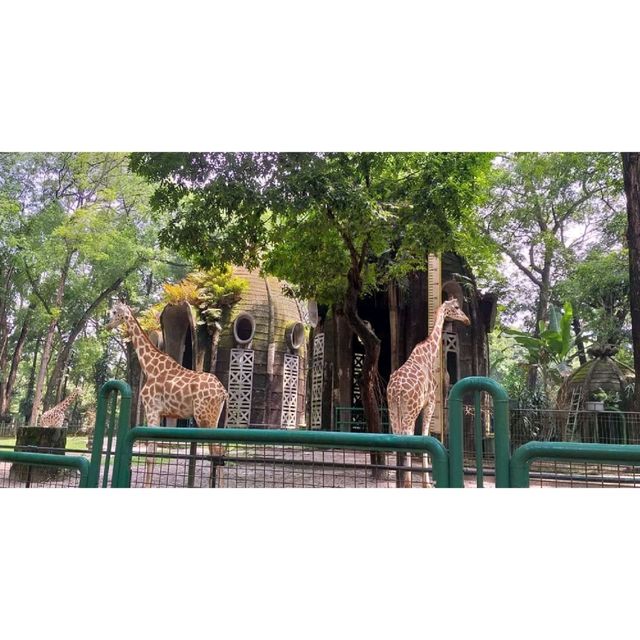 Ragunan Zoo